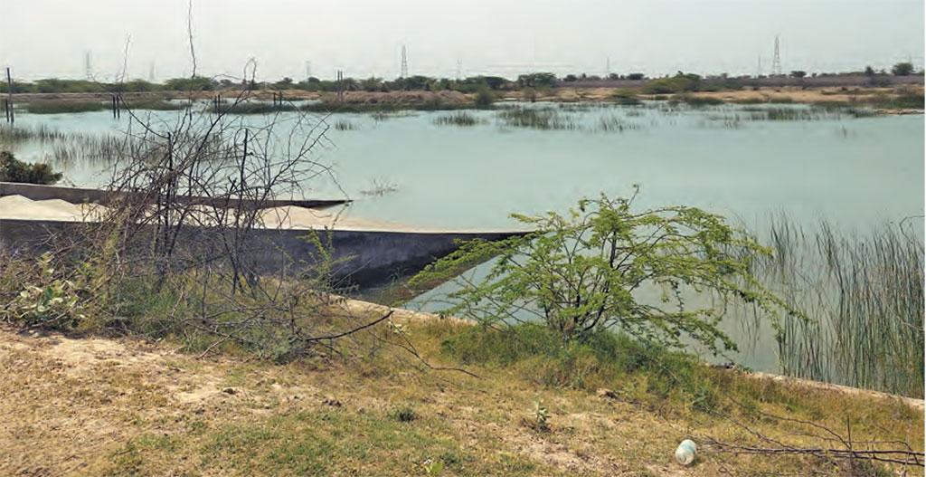 World Water Day 2023: Ladana, Rajasthan, used ground and surface water to overcome its scarcity problem 2023 2