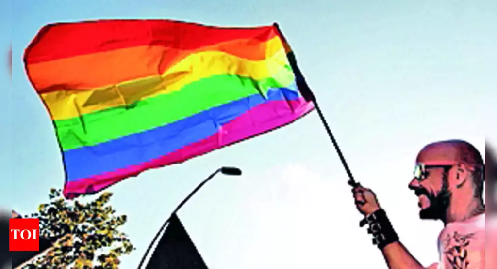 Same-sex couples shouldn't be able to adopt: SC to NCPCR 2023 2