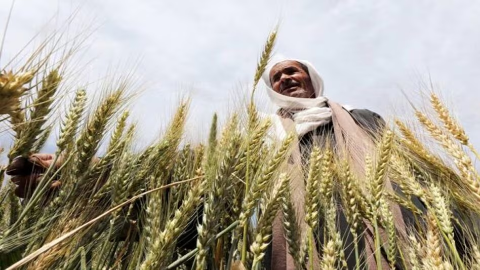 The Union Cabinet has approved a hike in the MSP for Kharif crops 2023 2